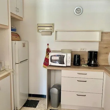 Cosy Avec Terrasse, Parking Et Wifi - Ideal Cures Et Centre-ville, Amelie-les-bains - Fr-1-703-3 * Amelie-les-Bains-Palalda