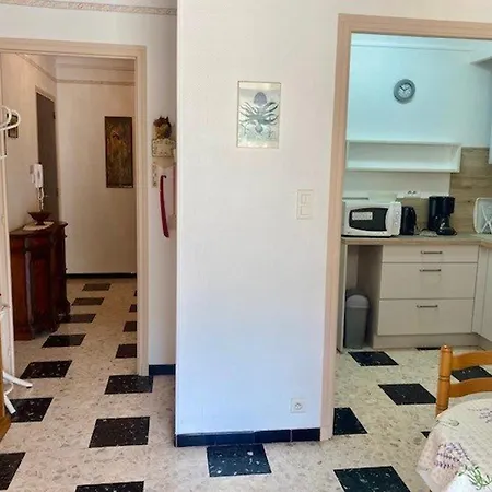 Apartamento Cosy Avec Terrasse, Parking Et Wifi - Ideal Cures Et Centre-ville, Amelie-les-bains - Fr-1-703-3 *